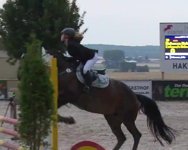 Reitturnier Rot am See- Musdorf 2022