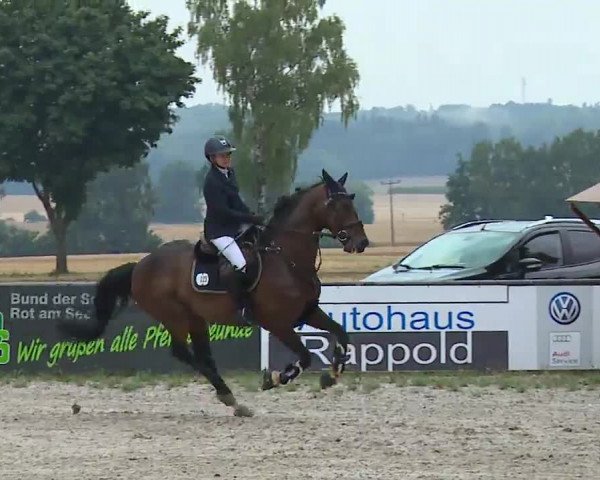 Reitturnier Rot am See- Musdorf 2022