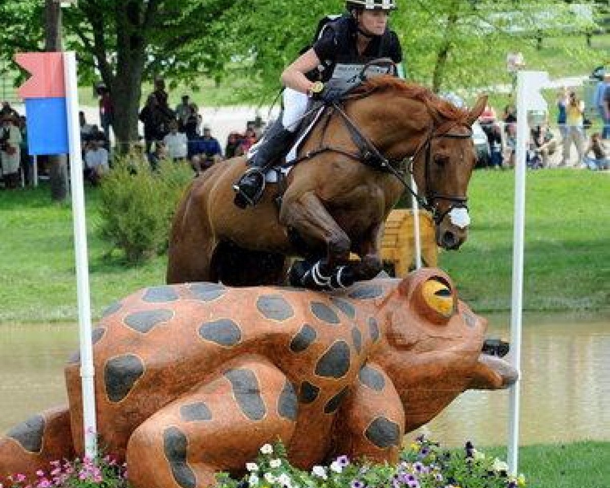 Pferd Manoir De Carneville (Selle Français, 2000, von Gaub)