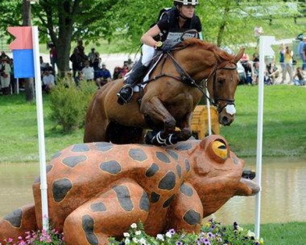 horse Manoir De Carneville (Selle Français, 2000, from Gaub)