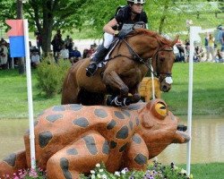 Pferd Manoir De Carneville (Selle Français, 2000, von Gaub)