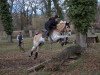 Springpferd Nektarius G (Haflinger, 2008, von Newos)