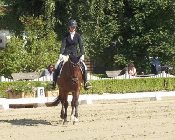 Reitturnier Neu-Anspach 2022