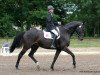 dressage horse Helios S (German Sport Horse, 2004, from Hoyo de Monterey)