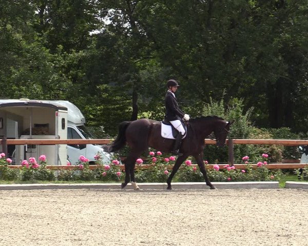 Reitturnier Schwanewede  2022