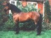 stallion Mahrdorf Trabant (Welsh-Pony (Section B), 1988, from Rotherwood Tomahawk)