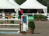 jumper Campino 344 (German Sport Horse, 2005, from Converter I)