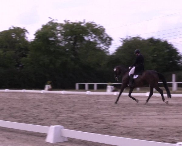 Reitturnier Baschütz bei Bautzen 2022