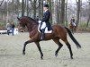 dressage horse Interfloor Next One (KWPN (Royal Dutch Sporthorse), 1995, from Jazz)