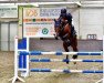 jumper Reichsgraf-Drum van het Juxschot (Belgian Riding Pony, 2013, from Kantje's Fahran)