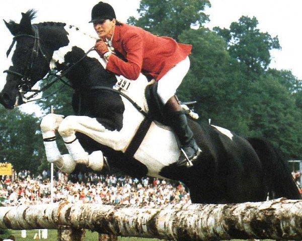 horse Nekoma (Pinto / Hunter, 1981, from Ico)