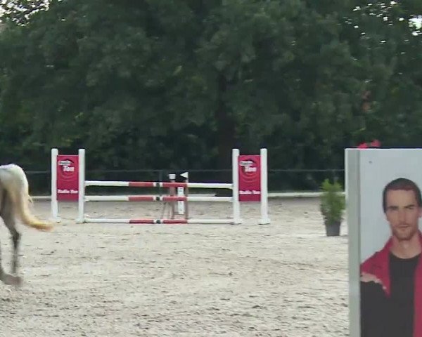 Reitturnier Rot am See- Musdorf 2022