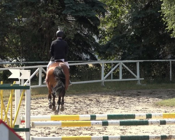 Reitturnier Volkmarode 2022
