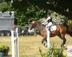 dressage horse Lucatelli (Hanoverian, 2004, from Limonit)