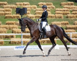 dressage horse Fräulein Müller CE (Hanoverian, 2017, from For Romance I)