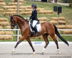 dressage horse Florian S 4 (Westphalian, 2016, from Fashion Maker)