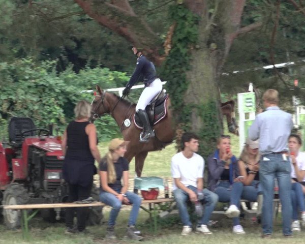 Reitturnier Volkmarode 2022
