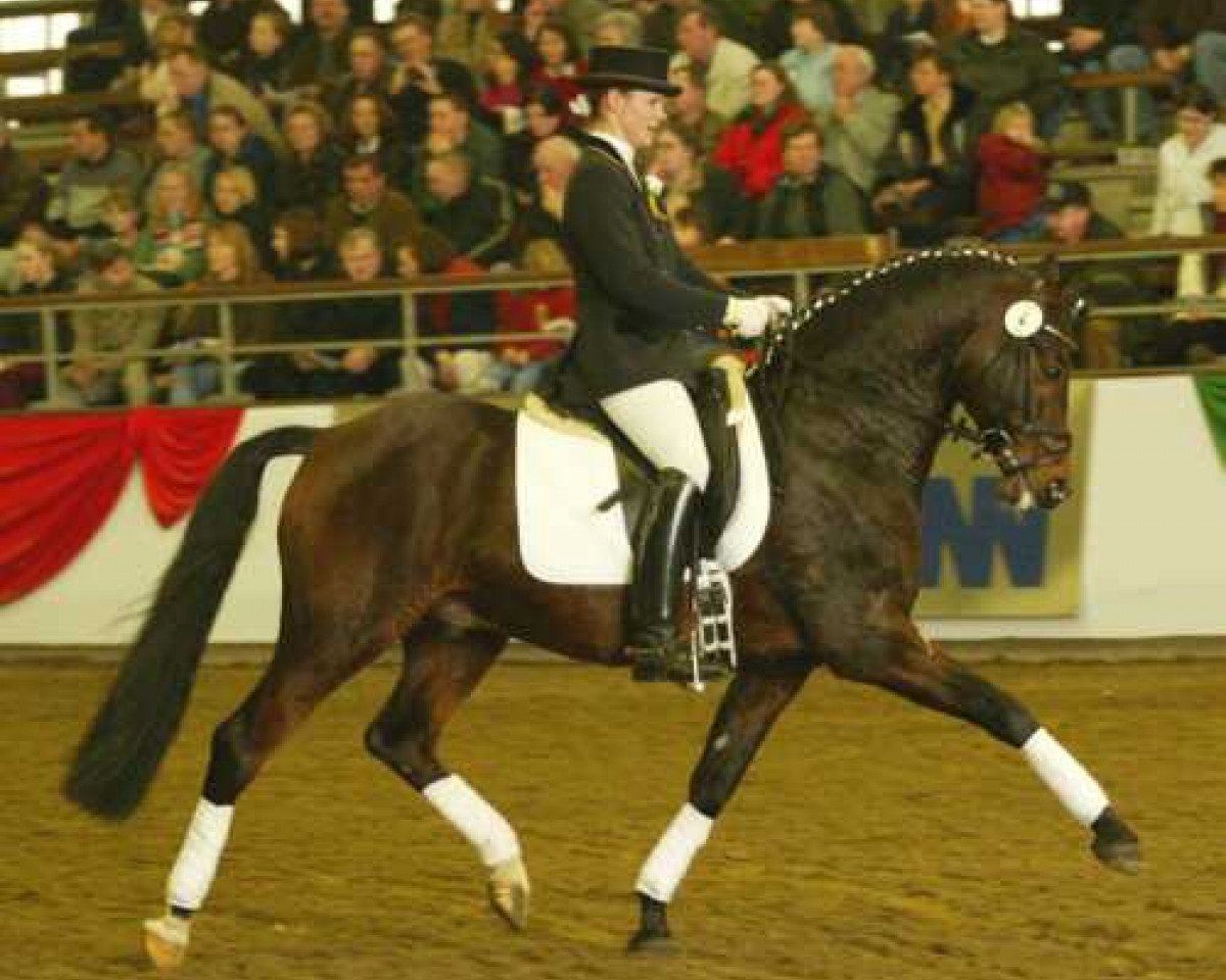 stallion Chantre B (German Riding Pony, 1991, from Catherston Night Safe)
