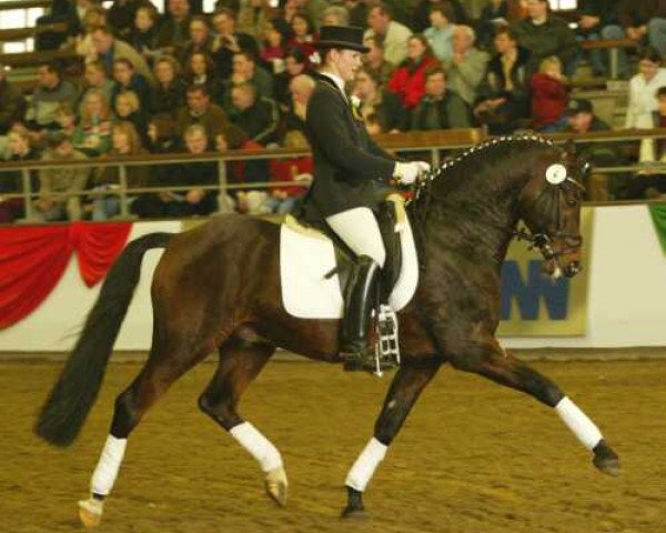 stallion Chantre B (German Riding Pony, 1991, from Catherston Night Safe)