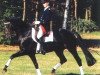 stallion Metternich (Hanoverian, 1990, from Matcho AA)