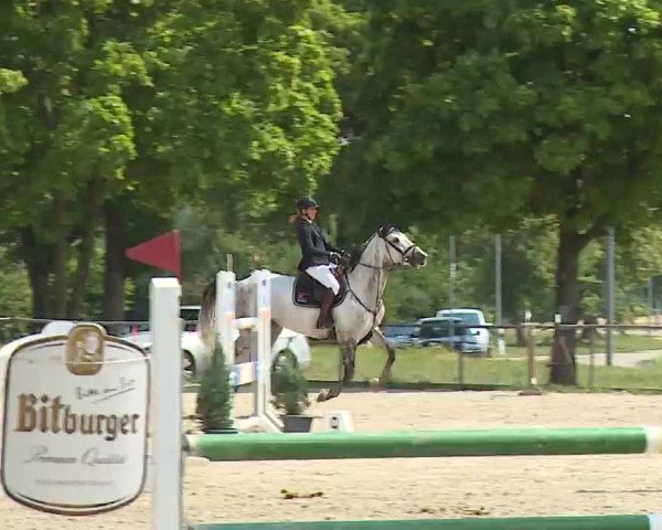 Reitturnier Rot am See- Musdorf 2022