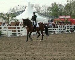 dressage horse Floriot (Westphalian, 1999, from Florestan I)