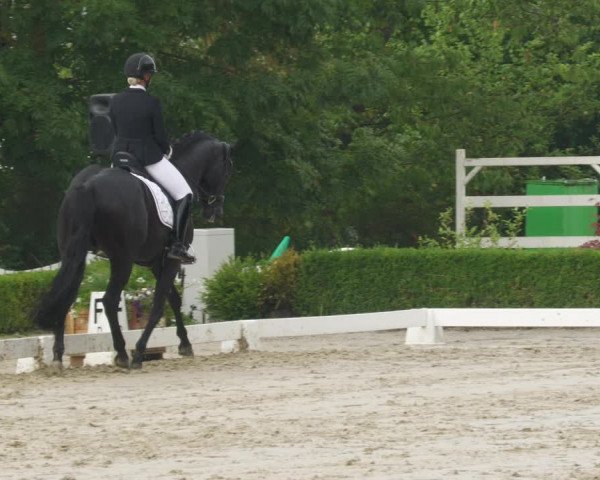 Reitturnier Neu-Anspach 2022