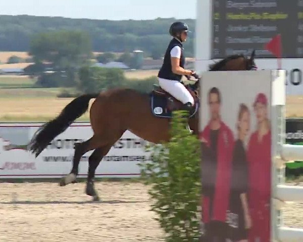 Reitturnier Rot am See- Musdorf 2022