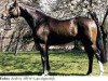 horse Feuerfunke xx (Thoroughbred, 1979, from Frontal xx)