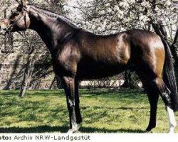 stallion Feuerfunke xx (Thoroughbred, 1979, from Frontal xx)