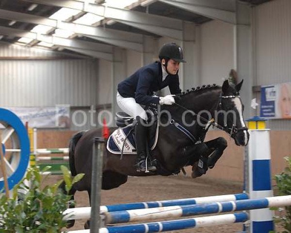 dressage horse Salome Kelly (German Riding Pony, 2004, from Kennedy WE)