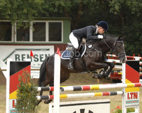 jumper Kentucky Boy WE (German Riding Pony, 2003, from Kennedy WE)