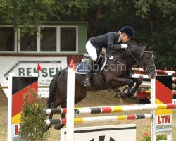 jumper Kentucky Boy WE (German Riding Pony, 2003, from Kennedy WE)