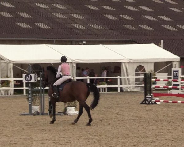 Reitturnier Ladelunder Springtage 2022