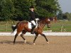 dressage horse Kalimar 2 (German Riding Pony, 2002, from Kennedy WE)