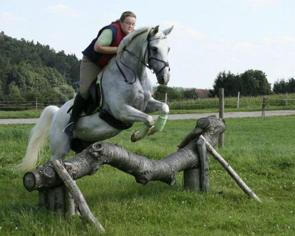 horse Karina (Bavarian, 1989, from Santa Klaus)