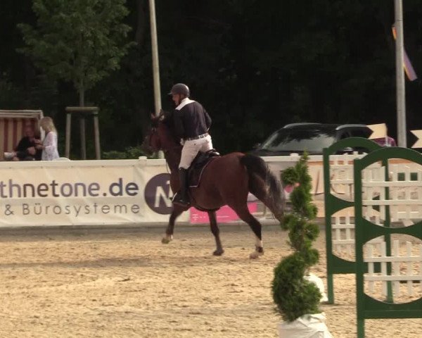 Reitturnier Ladelunder Springtage 2022