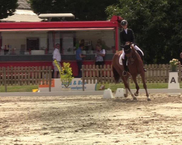 Reitturnier Schülp / Rendsburg 2022