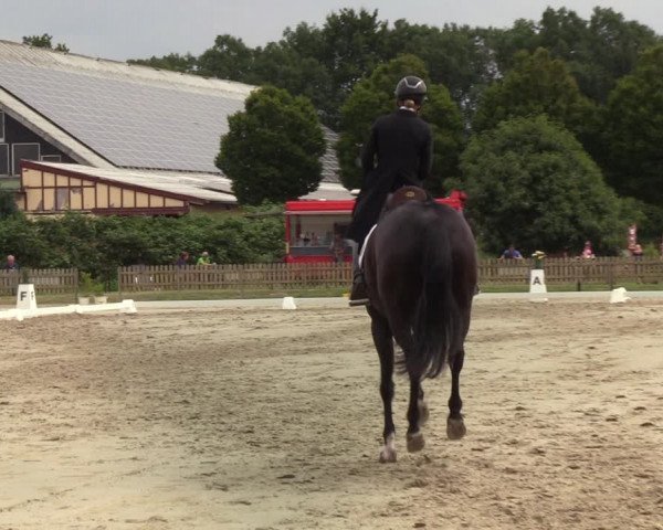 Reitturnier Schülp / Rendsburg 2022