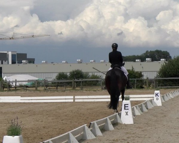 Reitturnier Biberach/Riß 2022