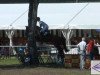 jumper Luiz Gustavo (German Warmblood, 2005, from L Avian)