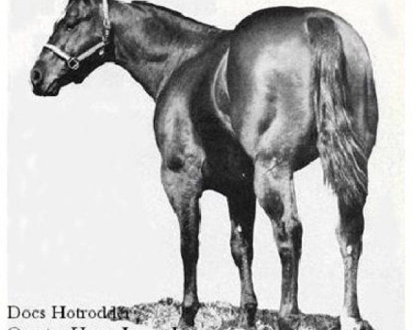 stallion Docs Hotrodder (Quarter Horse, 1965, from Doc Bar)