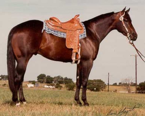 Deckhengst Hotrodders Jet Set (Quarter Horse, 1979, von Docs Hotrodder)