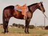 stallion Hotrodders Jet Set (Quarter Horse, 1979, from Docs Hotrodder)