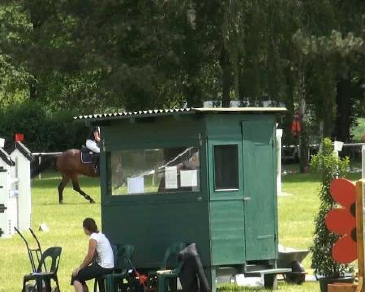 broodmare Viva RG (Westphalian, 2006, from Vulkano FRH)