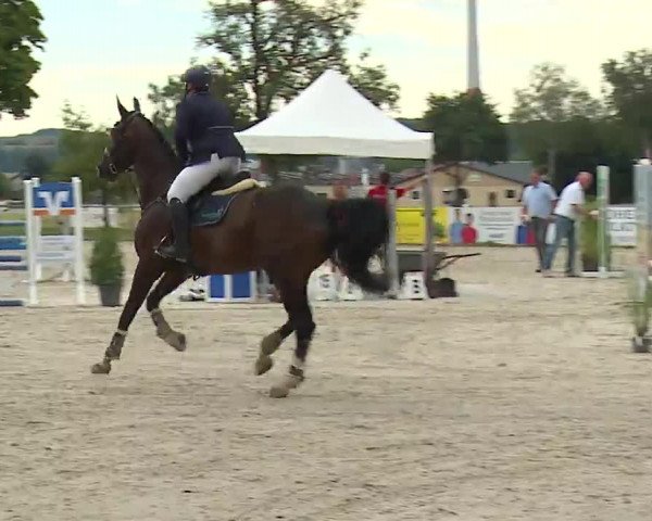 Reitturnier Rot am See- Musdorf 2022