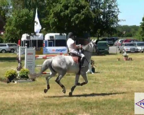 broodmare Candy on Ice (Hanoverian, 2004, from Contendro I)