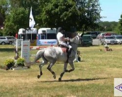 broodmare Candy on Ice (Hanoverian, 2004, from Contendro I)