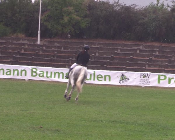 Reitturnier Baschütz bei Bautzen 2022