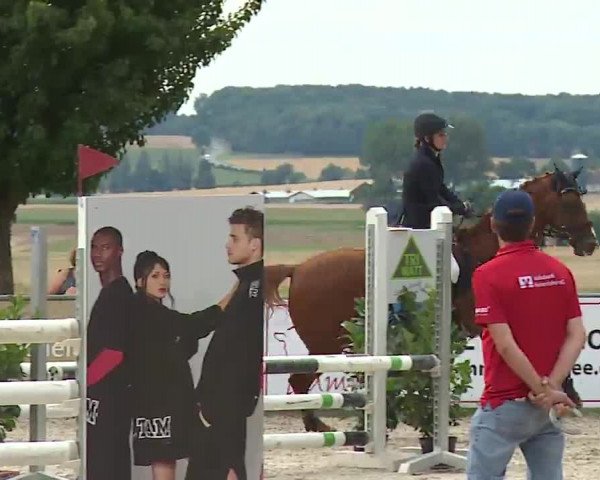Reitturnier Rot am See- Musdorf 2022